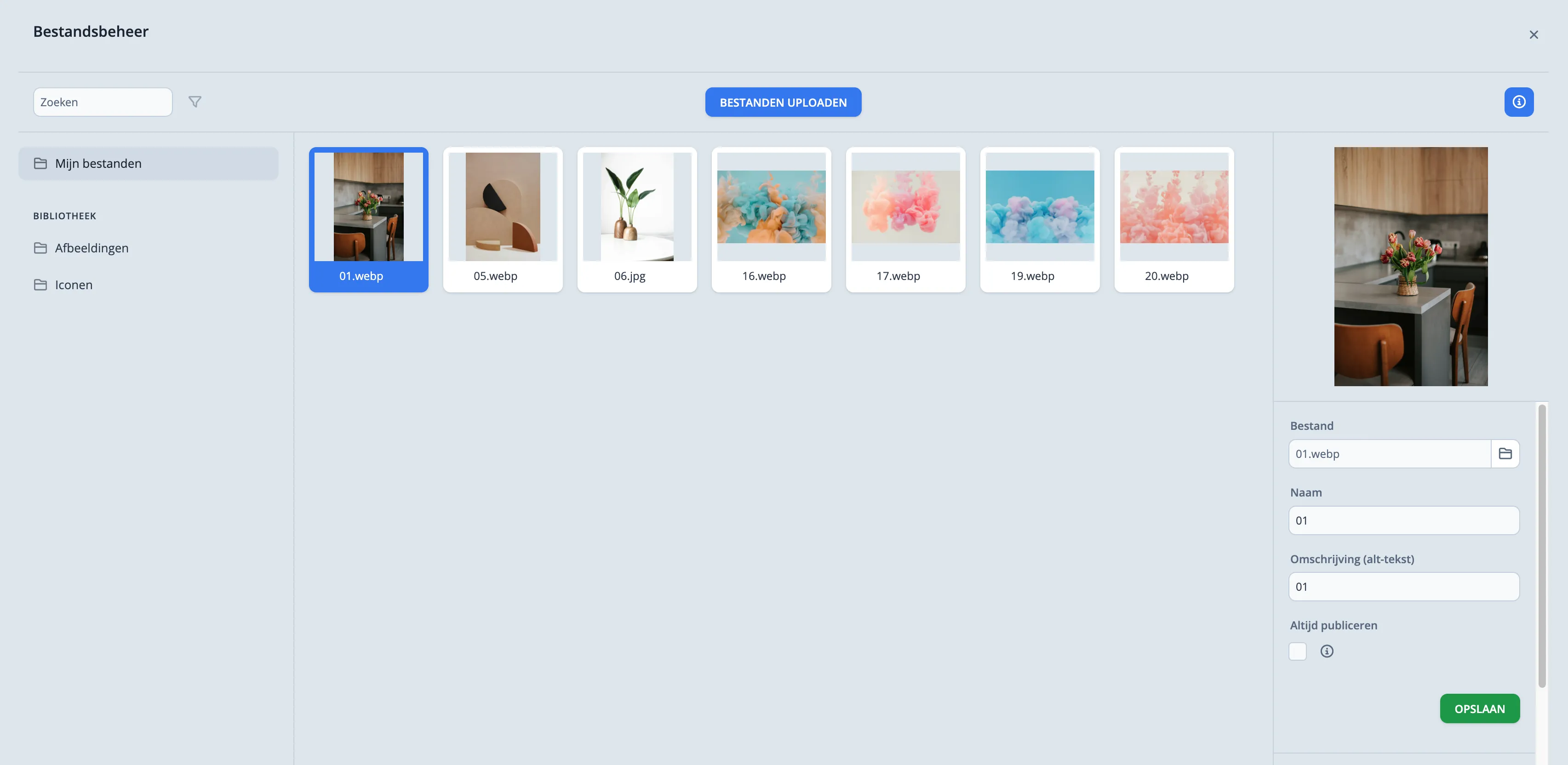 Bestandsbeheer overzicht met afbeeldingen