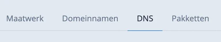DNS instellingen pagina in Mach3BlocksPLTest
